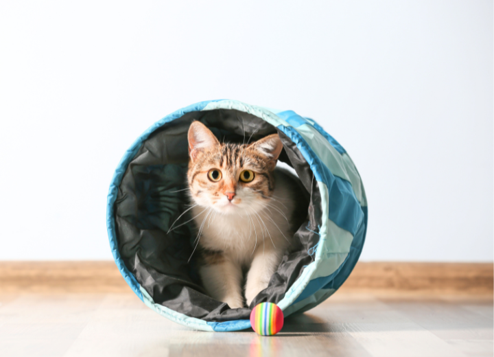 【最期まで】家族のために今できること