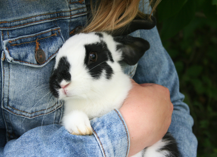 お別れのあとにできる心のケアとは