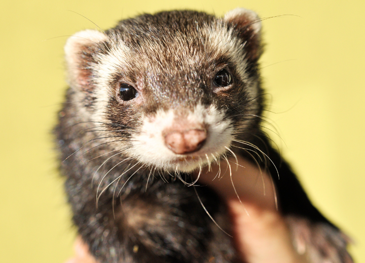 愛の森で納骨を考えるご家族様へ