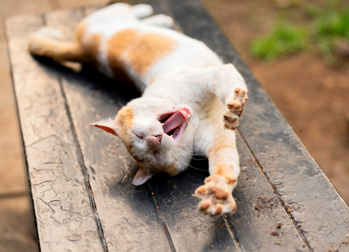 最期の「ありがとう」を伝える時間