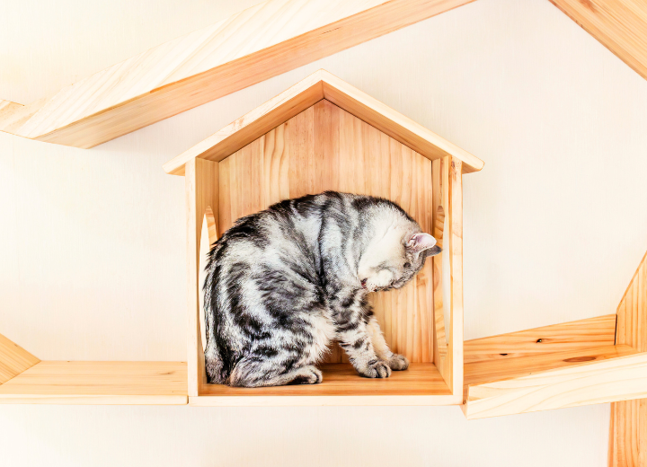 大切な節目に｜供養の役割と大切さ
