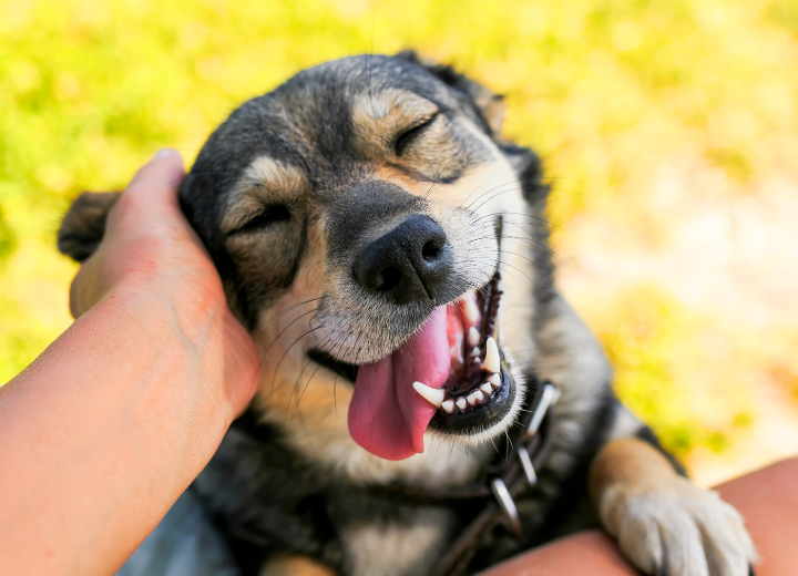 四十九日と一周忌｜大切な節目にできること