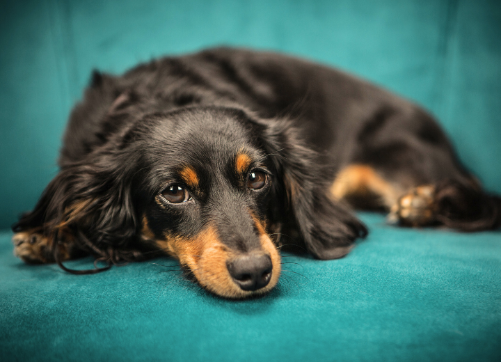 予約から火葬まで｜不安なく進めるために