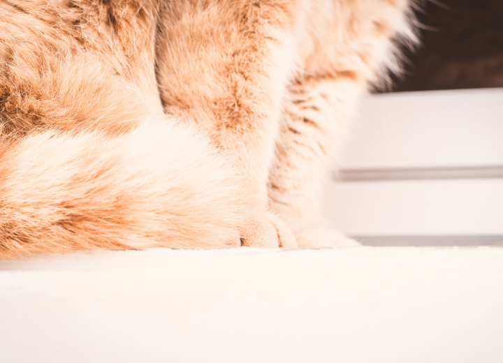 「ありがとう」を伝え続ける日々