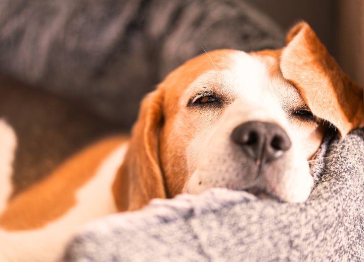 拾骨と埋葬、後悔しない選択