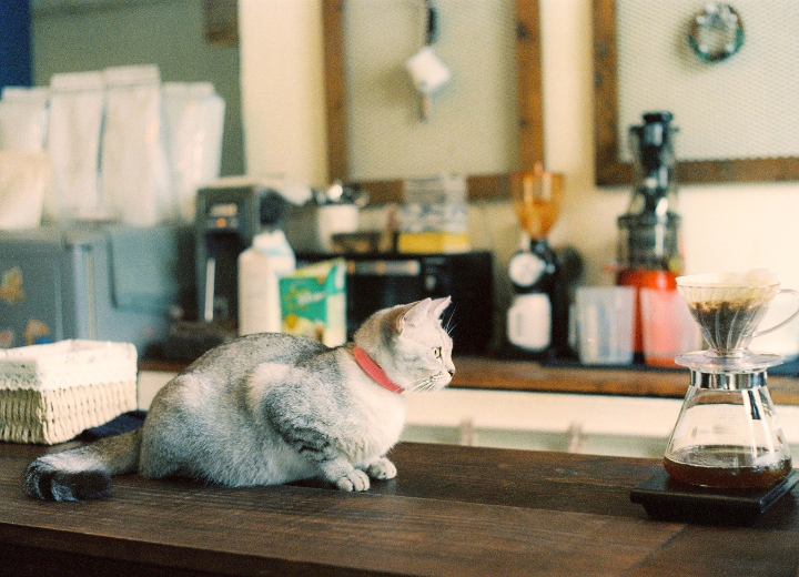 自宅で寄り添う最期の時間を作ろう