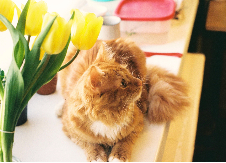 最期の時間まで一緒に過ごす"想い"